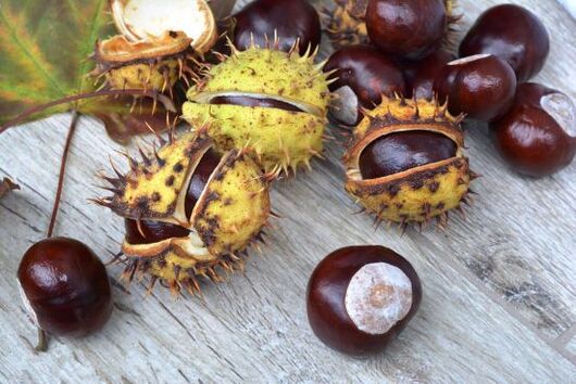 horse chestnut para sa pananakit ng likod