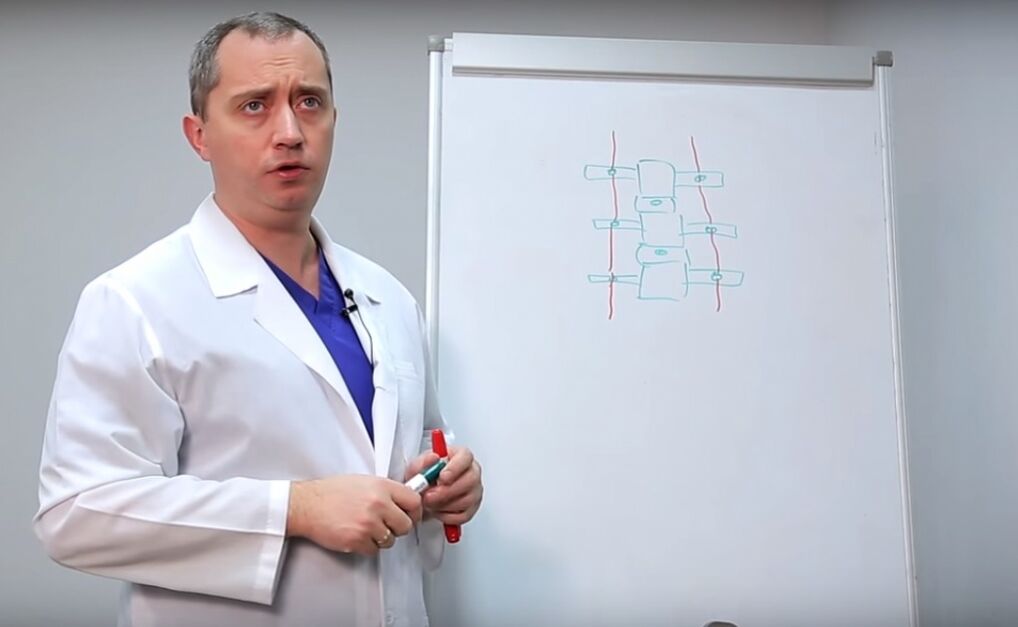 Ipinapakita ng doktor ang istraktura ng gulugod